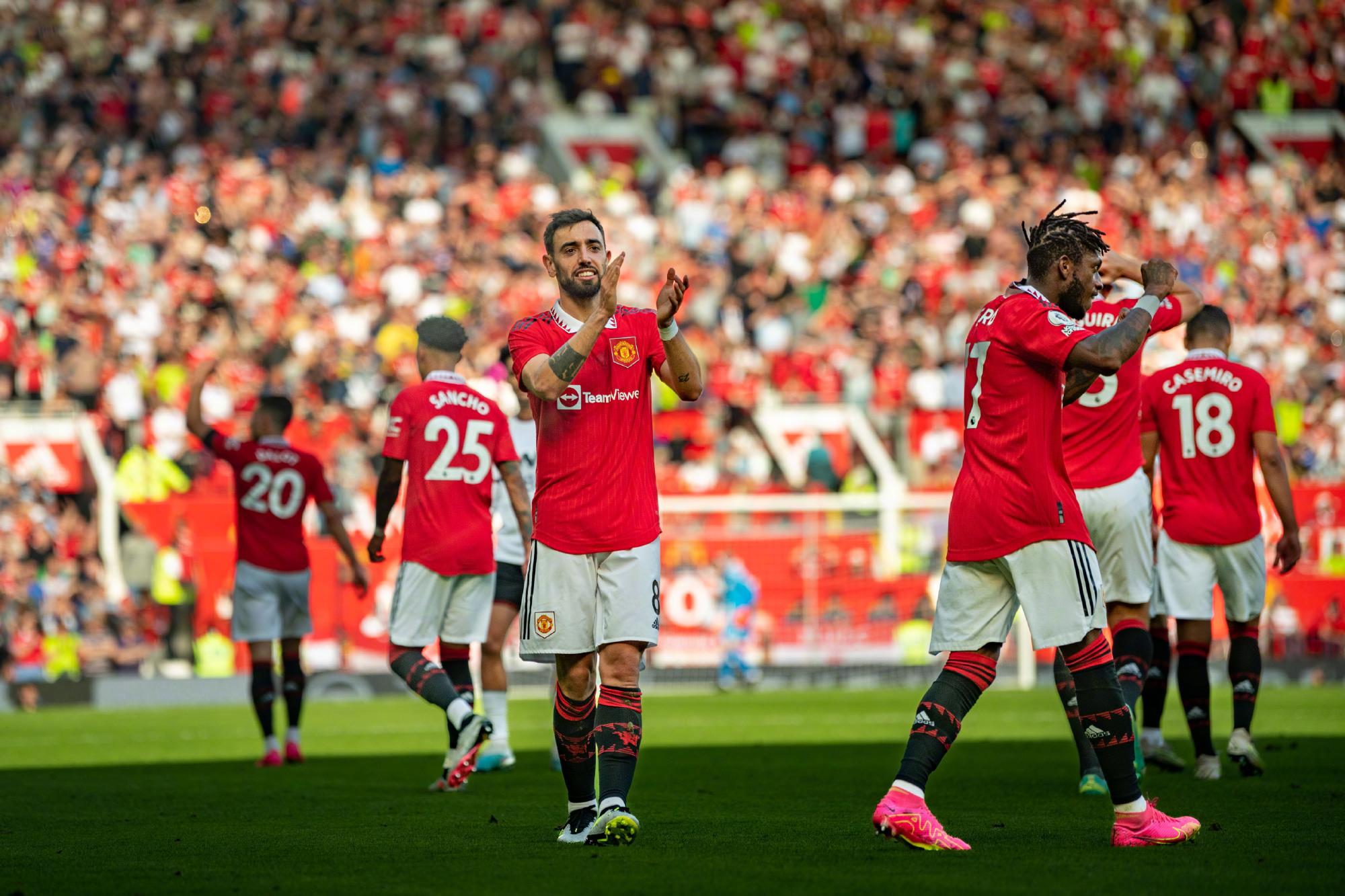 以及桑德菲 以及桑德菲